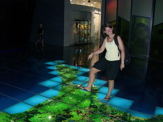 Wellington - Museum... Bildung muss ja auch mal sein..