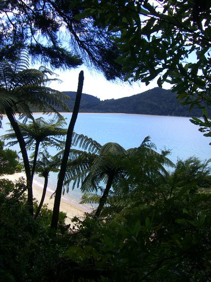 Abel Tasman Nationalpark... traumhaft..