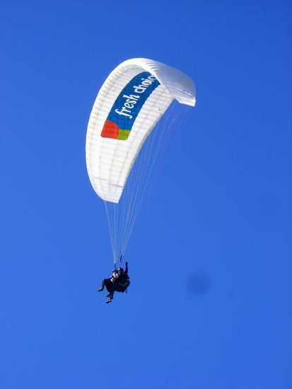 Die Claudi ist faul und fliegt runter..