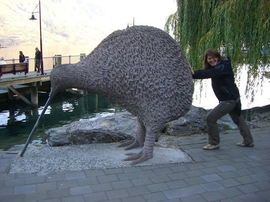 push the Kiwi..