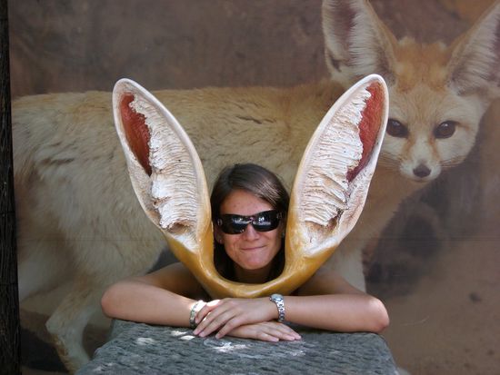 Ein lustiger Tag im Zoo geht zu Ende..