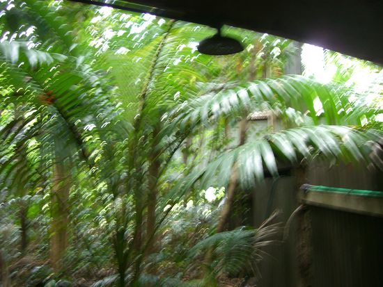 Die Dusche war eben so der Hammer.. Mitten im Bush..