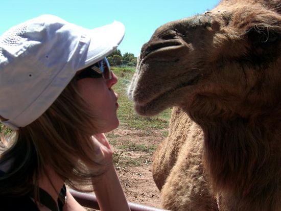 Greennough Wildlife Park.