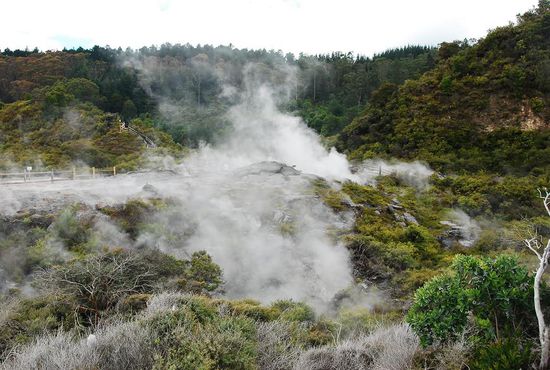 Dampfende Landschaft