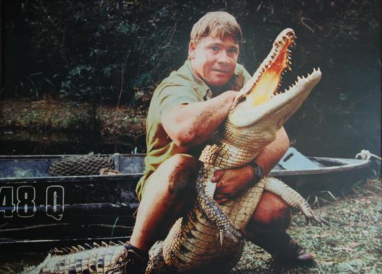 Steve Irwin