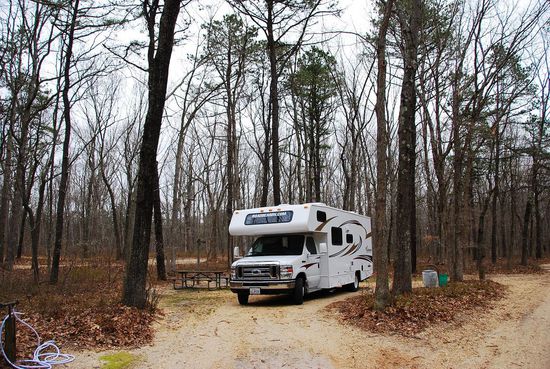 Im Turkey Swamp Park