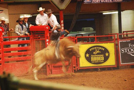 Rodeo