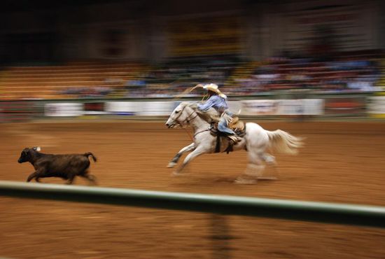 Calf Roping