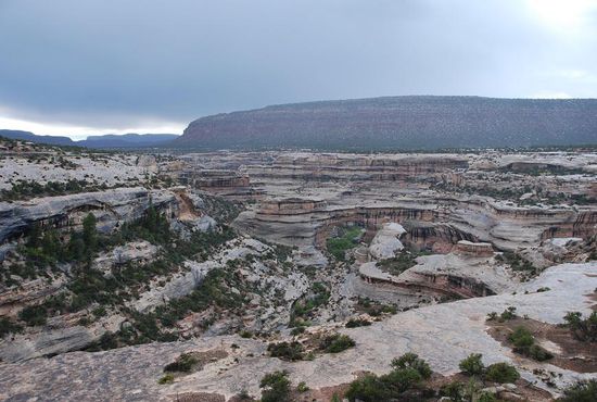 Siehst du Brücke dort...!!! 