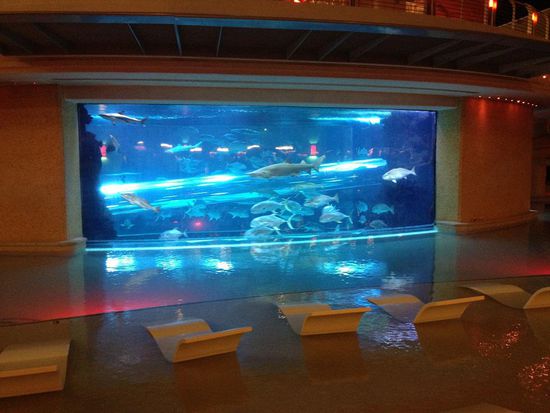 im Golden Nugget Hotel