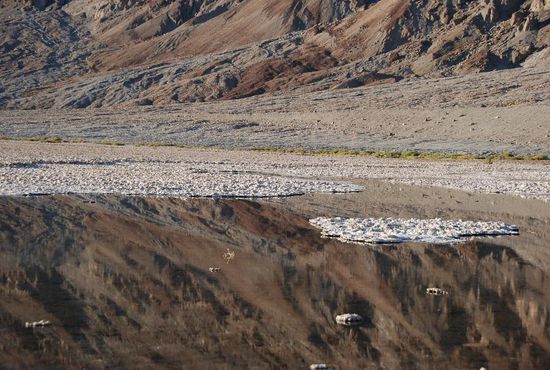 Mit viel Salz Rückständen