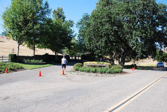 Vor dem Tor der Neverland Ranch von MJ