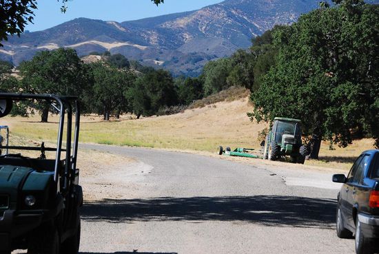 Blick durch das Eingangstor