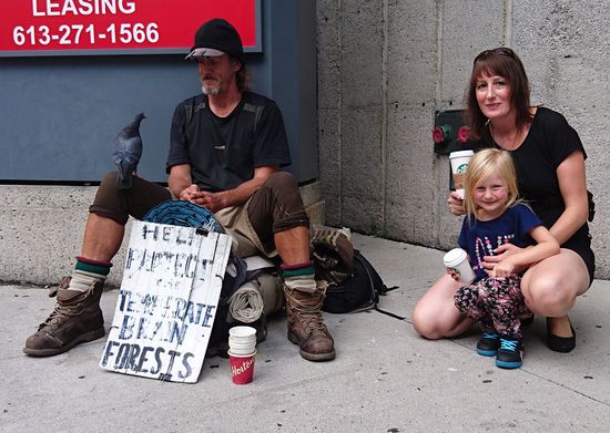 Die Möwe findet ihn überall in der Stadt
