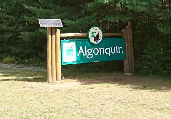 Algonquin Provincial Park