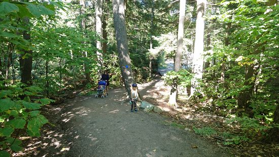 Auf dem Weg zum Hardwood Lookout