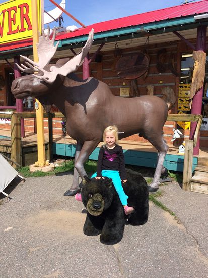 Kolleg Moose &amp; Bear