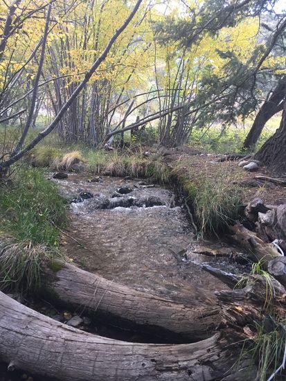 Great Basin Nationalpark NV