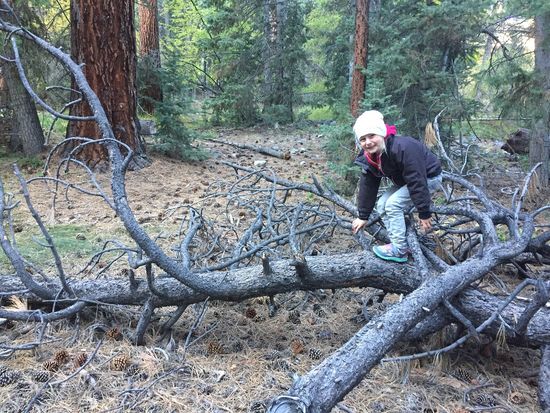 Great Basin Nationalpark NV