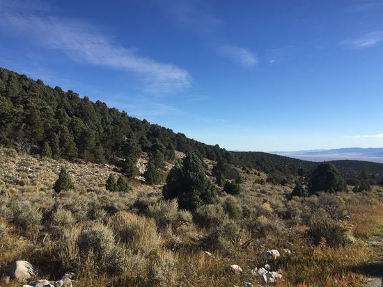 Great Basin Nationalpark NV