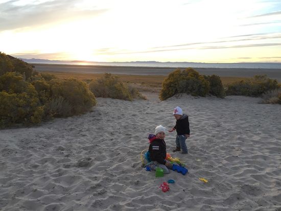 Antelope  Island State Park