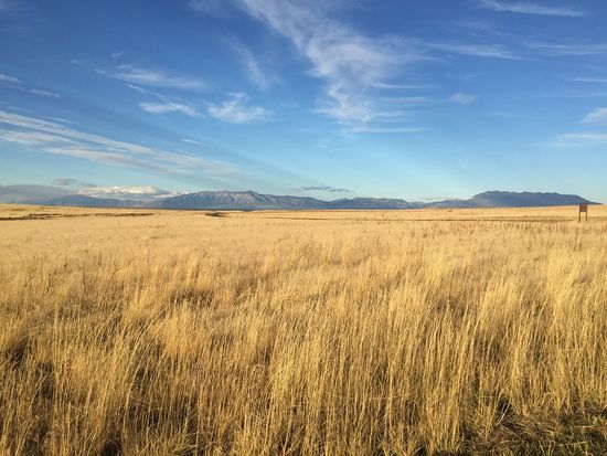 Antelope  Island State Park
