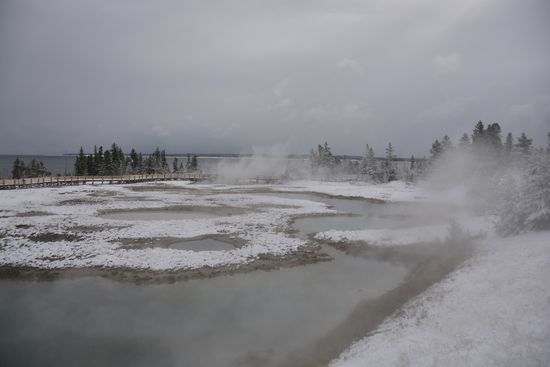Yellowstone NP