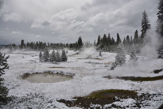Yellowstone NP