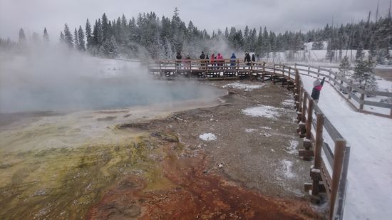 Yellowstone NP