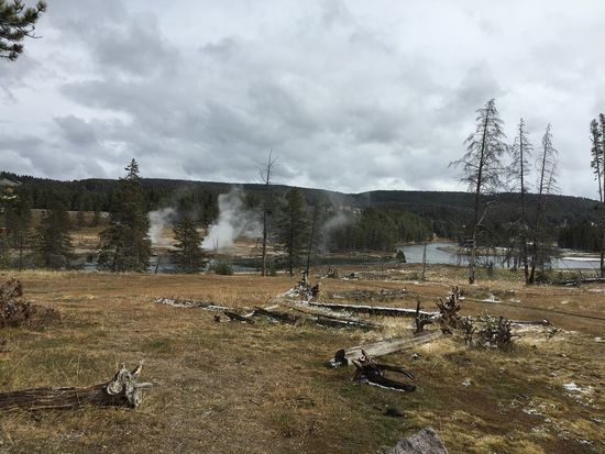 Yellowstone NP