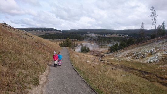 Yellowstone NP
