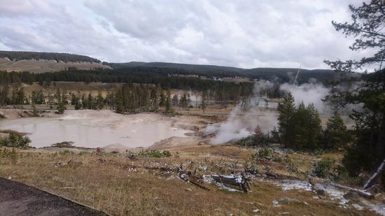 Yellowstone NP