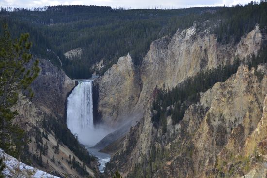 Yellowstone NP
