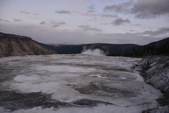 Yellowstone NP