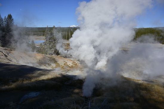 Yellowstone NP
