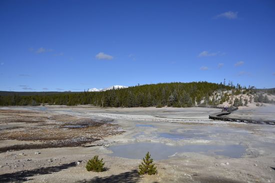 Yellowstone NP