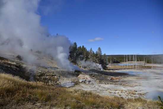 Yellowstone NP