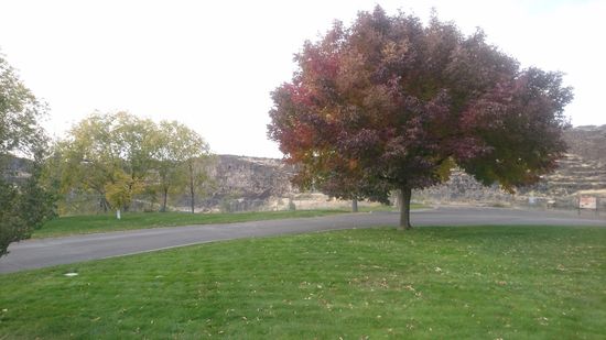 Shoeshone Falls und Twin Falls