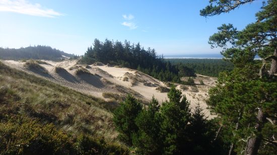 Oregon Dunes? 