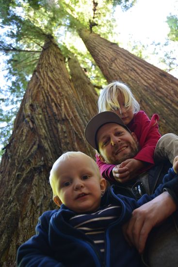 Prairie Creek Redwoods State Park den Abstecher auf den Newton B. Drury Parkway