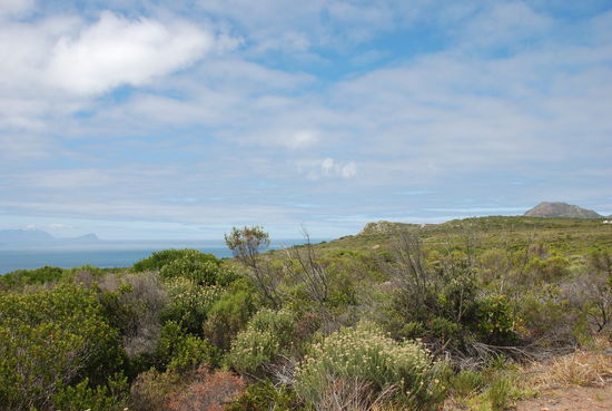 Das Kap der Guten Hoffnung