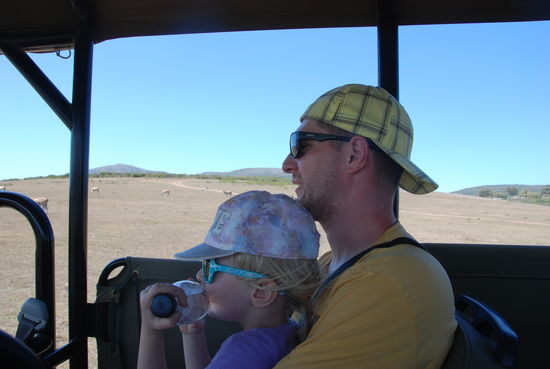 In Albertinia, Safari gebucht in der Garden Route Game.