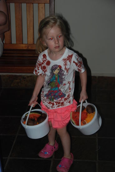 Knysna Elephant Park