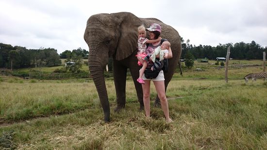 Knysna Elephant Park