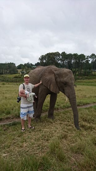 Knysna Elephant Park