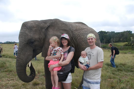 Knysna Elephant Park