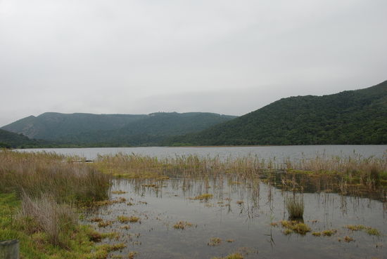 Fahrt durchs Nature Valley nach Jeffreys Bay.