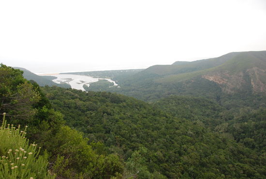 Fahrt durchs Nature Valley nach Jeffreys Bay.