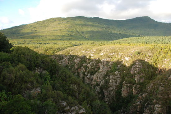 Rückfahrt bis kurz vor Plettenberg Bay