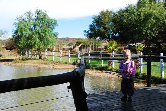 Oudtshoorn auf eine Straussenfarm